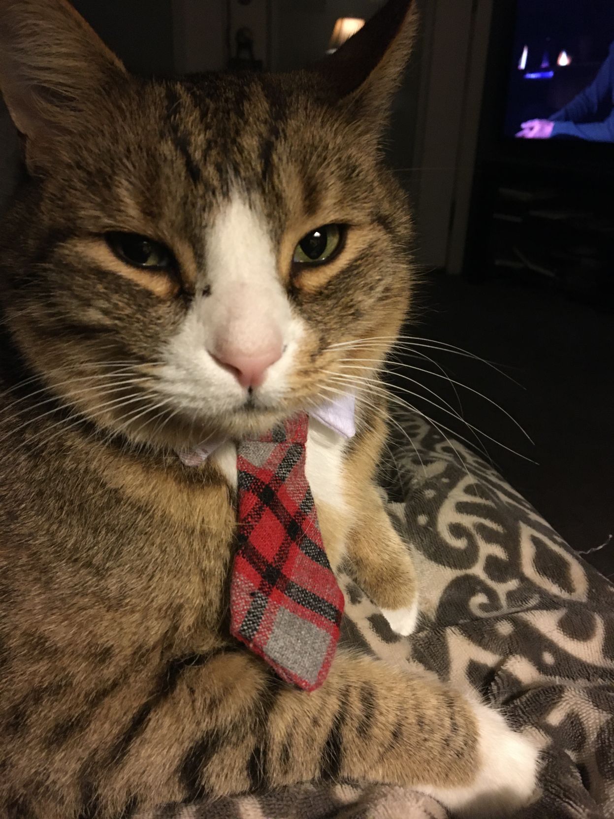 Leo
